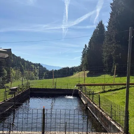 Naturidyll Lavantall Casa vacanze *